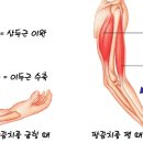 피트인 피트니스 이미지