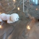 어라운드1142 이미지