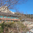 주석농장 이미지