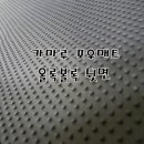 포우 이미지