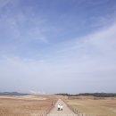 태안제주바다모래협동조합 | 태안 바다 추천 모래 사막 신두리 해안사구
