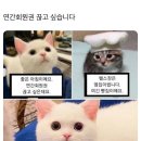 라프레임 네이버블로그