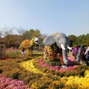 드림파크 이미지