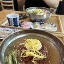 경성오곡밀면 | [양산 중부동] 5가지 곡물로 자가제면한 건강한 밀면 '경성오곡밀면'