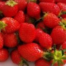 조안농장 이미지