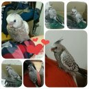 아구좋아해물좋아 이미지