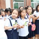 광주교대부속초등학교 이미지