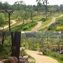 서대구공단어린이집 이미지