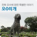 오수펫하우스 네이버블로그
