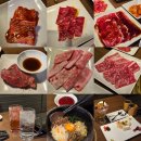 원갈비 | 후쿠오카 야키니꾸 무한리필 원갈비 프리미엄 나카스 고기부터 디저트까지 완벽!