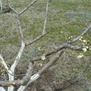 가실농장 이미지