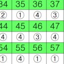 사회조사분석사2급 조방 퀴즈 2) 0605 이미지