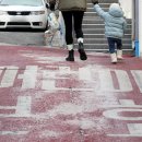 복덩이유통 정책브리핑
