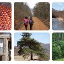 마조복지회관 이미지