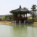 한밭수목원1 이미지