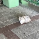 새암정 이미지