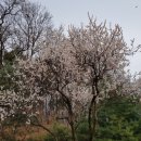 조명환농장 이미지