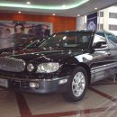 다이너스티 이미지