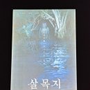 비전 | 메가박스 상암월드컵경기장 Dolby Vision+ Atmos (돌비비전 애트모스) 살목지 돌비관 관람 후기