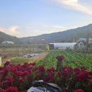 원주민부동산중개 이미지