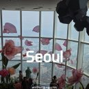 롯데타워 | 잠실 롯데월드몰 아쿠아리움 서울스카이 롯데월드타워 전망대 후기