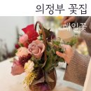의정부 꽃집 매일꽃 감성꽃집 후기