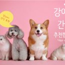 예쁜멍멍이 네이버블로그