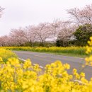 서호호근로 이미지