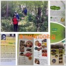 효석문학100리길 제5-1구간 | 평창 여행 봉평 효석문학100리길 걸어보자 강원도 가볼만한곳