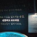 도원 | [왓츠인마이블로그] 압구정 새로도원 팝업스토어 후기