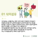하이풀 스포츠 이미지