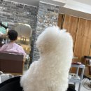 파파존스피자 남구점 이미지