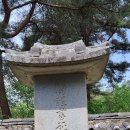 독성서사 이미지