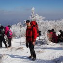 태백산 - 김포시 양곡3로1번길 26-5 | 태백산