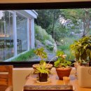 덕인농원 이미지