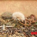 남차2리 이미지