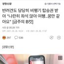 반려견 비행기 좌석 이미지