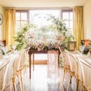 워너비어 이미지