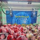 엘리스(인형뽑기방) 이미지