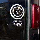 해피아지 이미지