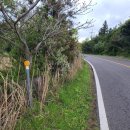 상창리-2 이미지