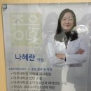 조은이웃연세아주소아청소년과의원 네이버블로그