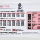 놀러왕왕왕 이미지