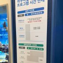 (주)아쿠아링크 | 광교 아쿠아플라넷 아쿠아리움 할인 가격 주차 공연 시간, 겨울 방학 실내 아이랑 갈만한곳