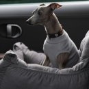 솔튼병원 이미지