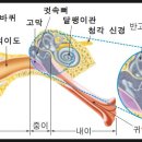 백구한의원 이미지