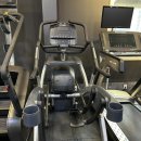 라임 P.T 이미지