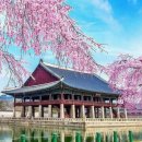 경회루 Daum카페