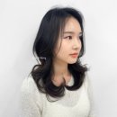 토리헤어모종점