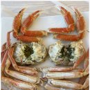 당신대게 이미지